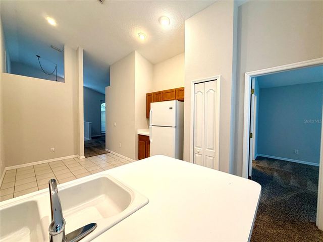 10450 LUCAYA DRIVE, Tampa, FL 33647