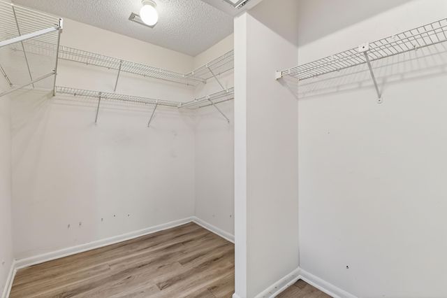 13289 Touchstone Place, Palm Beach Gardens, FL 33418
