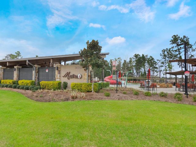 15884 Blass Valley Drive, Conroe, TX 77302
