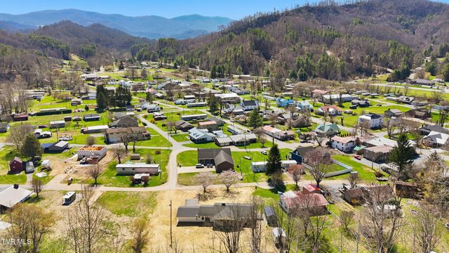 309 Heaton Street, Roan Mountain, TN 37687