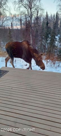 110 Wooded Glen Court, Kenai, AK 99611