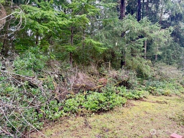 2002 200th Lane, Ocean Park, WA 98640