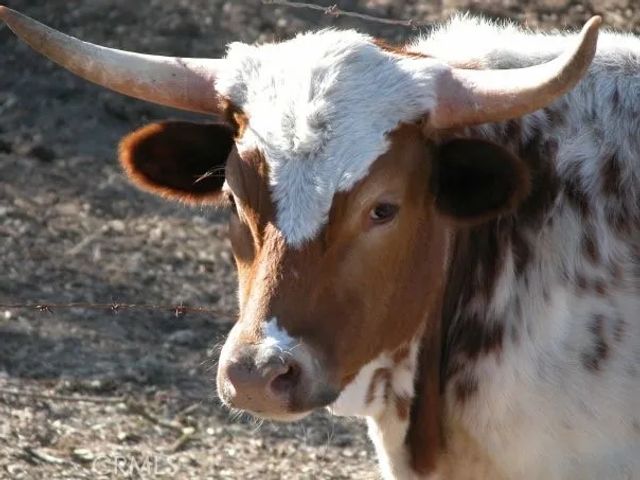 3470 Ranchita Cyn Rd, San Miguel, CA 93451