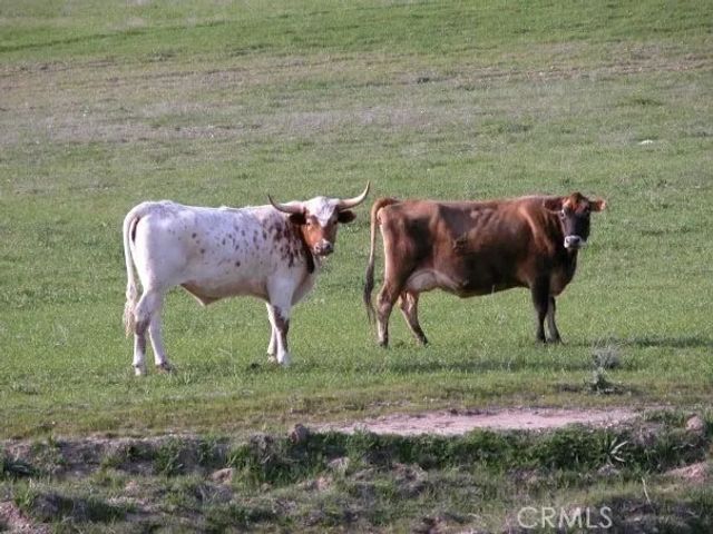 3470 Ranchita Cyn Rd, San Miguel, CA 93451