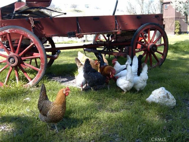 3470 Ranchita Cyn Rd, San Miguel, CA 93451