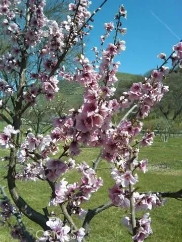 3470 Ranchita Cyn Rd, San Miguel, CA 93451