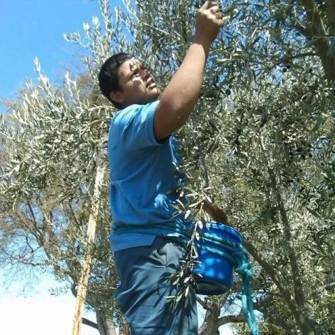 3470 Ranchita Cyn Rd, San Miguel, CA 93451