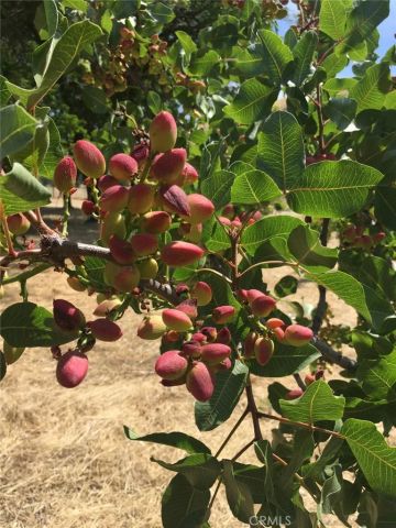 3470 Ranchita Cyn Rd, San Miguel, CA 93451