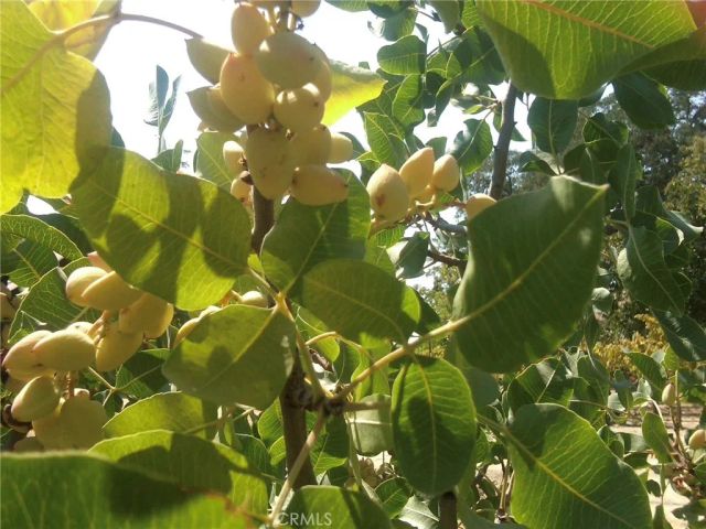 3470 Ranchita Cyn Rd, San Miguel, CA 93451