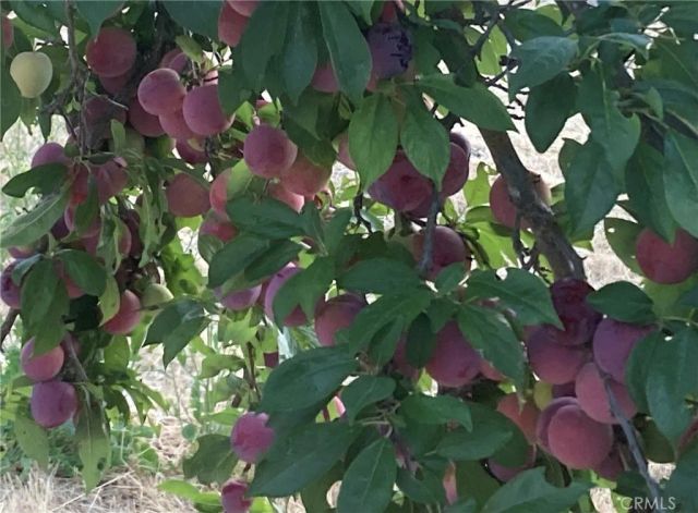 3470 Ranchita Cyn Rd, San Miguel, CA 93451