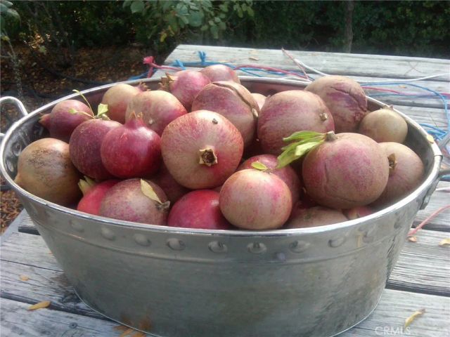 3470 Ranchita Cyn Rd, San Miguel, CA 93451