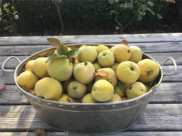 3470 Ranchita Cyn Rd, San Miguel, CA 93451