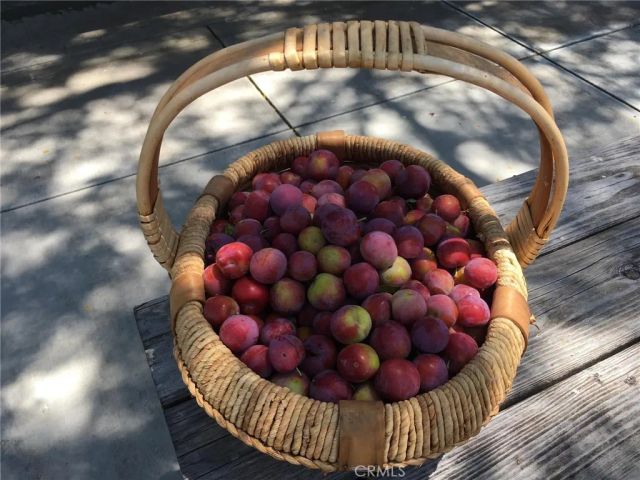 3470 Ranchita Cyn Rd, San Miguel, CA 93451