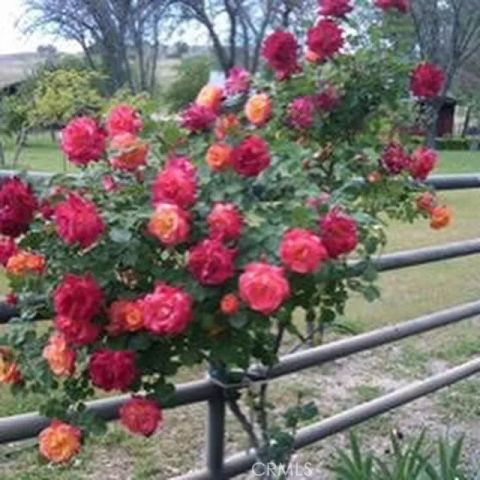 3470 Ranchita Cyn Rd, San Miguel, CA 93451