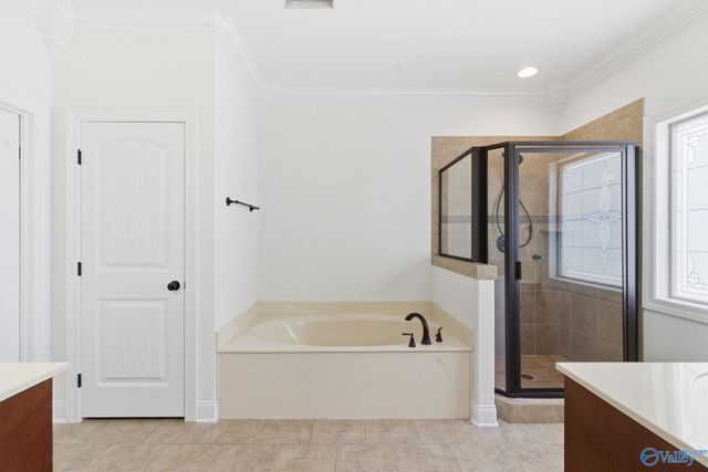 205 Grove Village Way, Madison, AL 35758