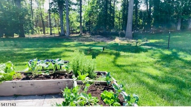 17 Frederick Pl, Hanover Twp., NJ 07927