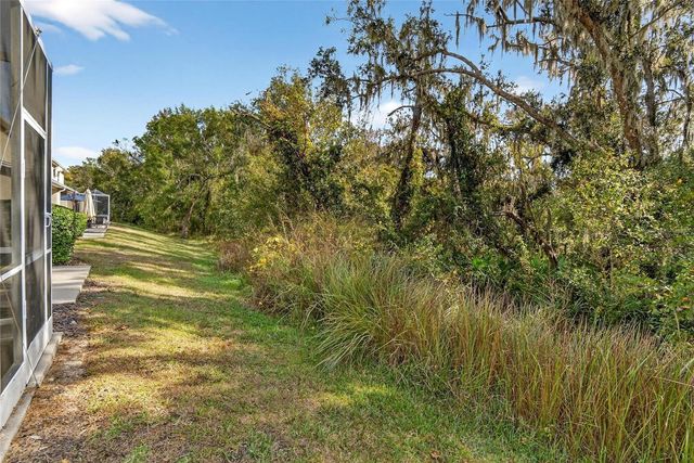 15843 FISHHAWK VIEW DRIVE, Lithia, FL 33547