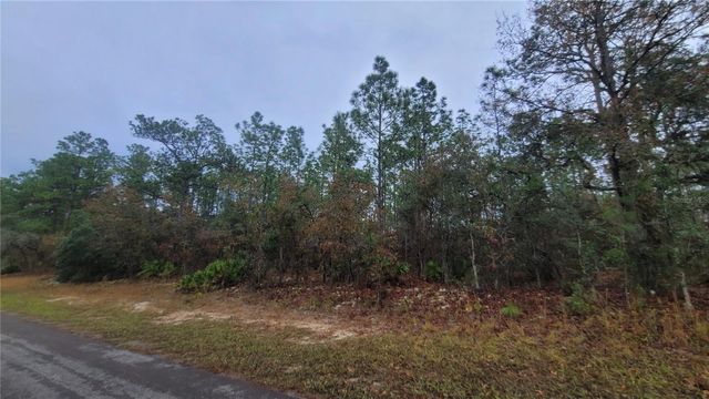 4621 N PINK POPPY, Beverly Hills, FL 34465