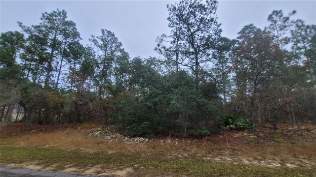 4621 N PINK POPPY, Beverly Hills, FL 34465