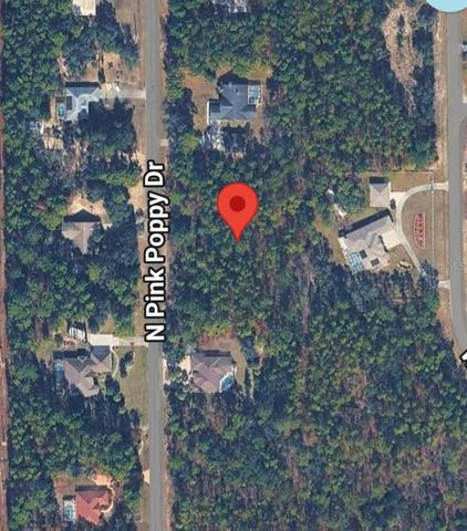 4621 N PINK POPPY, Beverly Hills, FL 34465