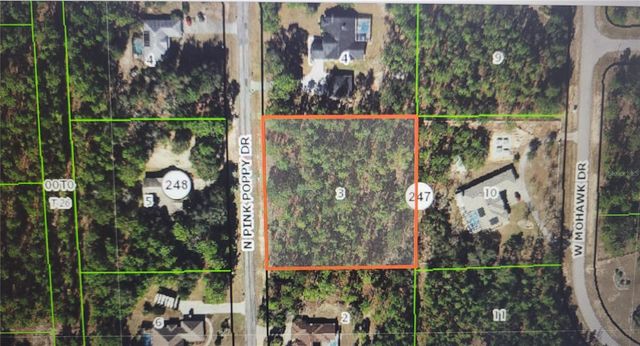 4621 N PINK POPPY, Beverly Hills, FL 34465