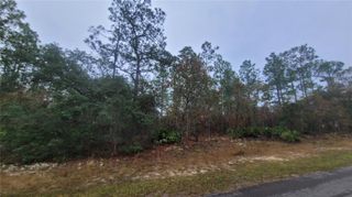 4621 N PINK POPPY, Beverly Hills, FL 34465