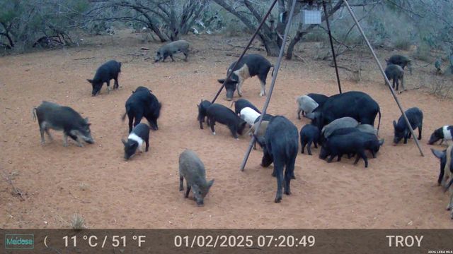 15655 highway 140, Charlotte, TX 78011