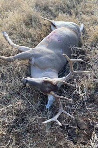 15655 highway 140, Charlotte, TX 78011