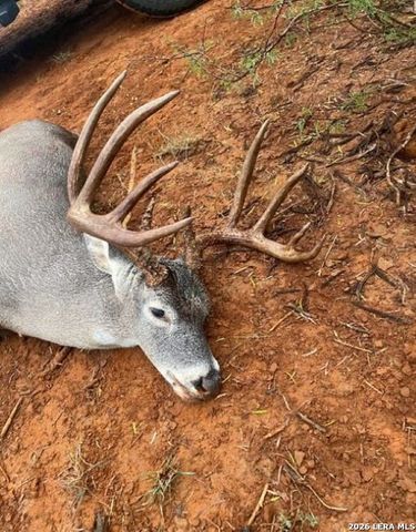 15655 highway 140, Charlotte, TX 78011