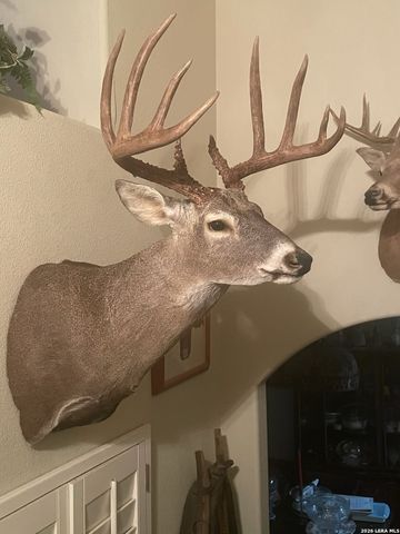 15655 highway 140, Charlotte, TX 78011