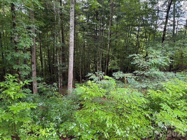 Lot 6 Garnet Road, Sylva, NC 28779