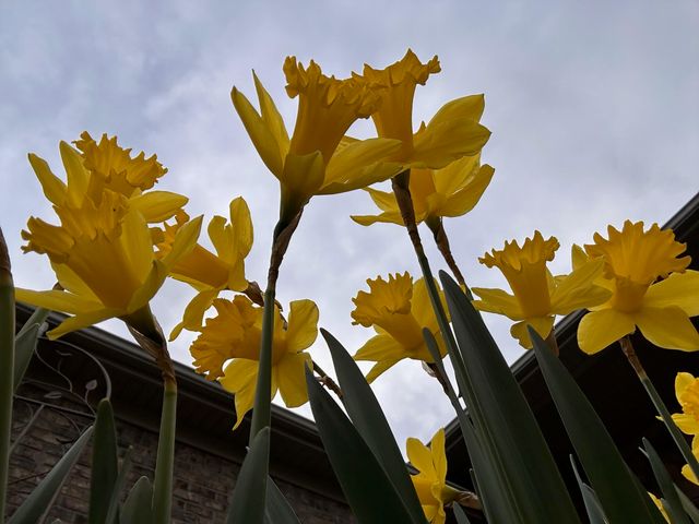 2413 San Milano Place, Lexington, KY 40509