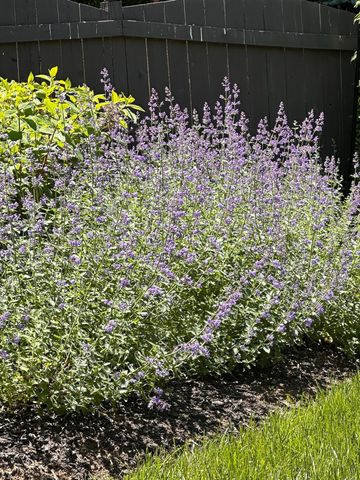 2413 San Milano Place, Lexington, KY 40509