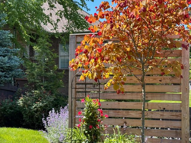 2413 San Milano Place, Lexington, KY 40509