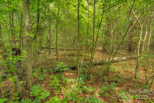 0000 Lucy Short Cut Road 3, Marshville, NC 28103