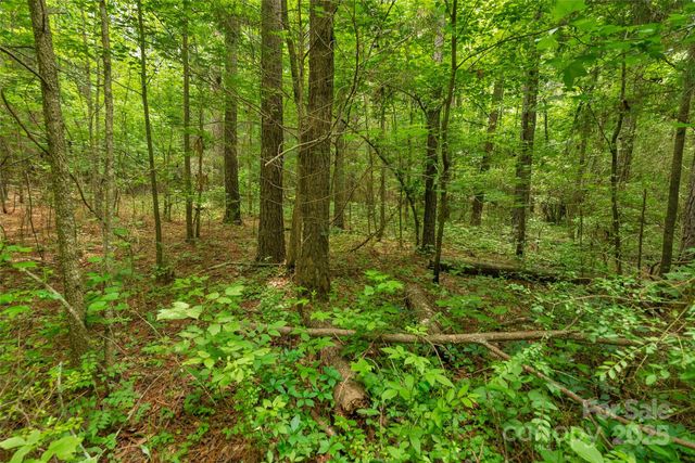 0000 Lucy Short Cut Road 3, Marshville, NC 28103