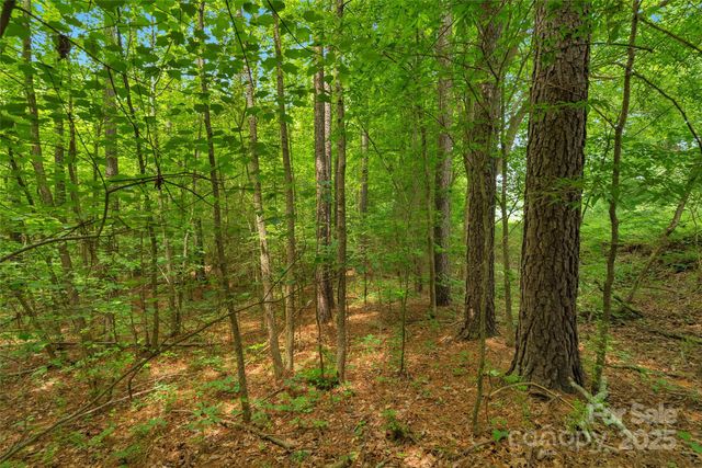 0000 Lucy Short Cut Road 3, Marshville, NC 28103