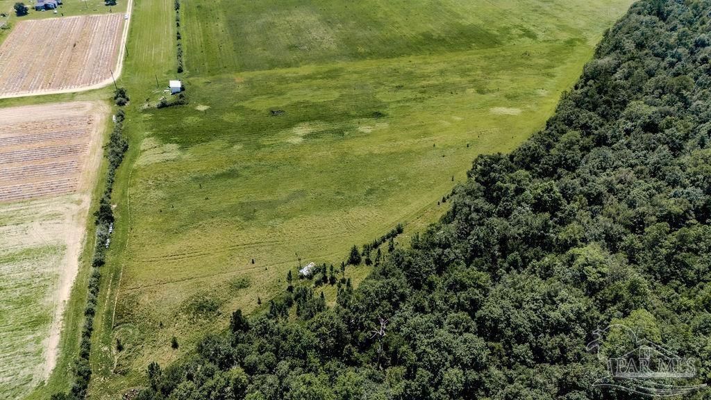 Lot 4 Hwy 182, Jay, FL 32565