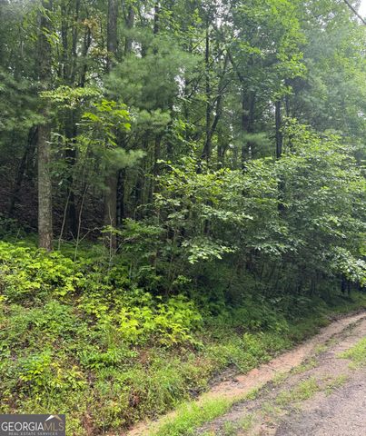 LOT 37 Eagle Talon Trail, Cleveland, GA 30528