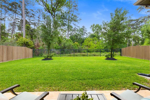 231 Bee Balm Court, Conroe, TX 77304