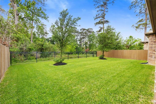 231 Bee Balm Court, Conroe, TX 77304