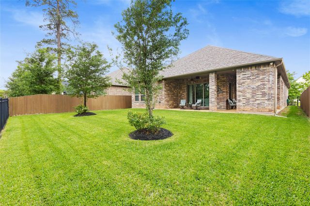 231 Bee Balm Court, Conroe, TX 77304