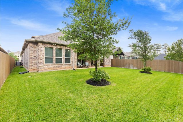 231 Bee Balm Court, Conroe, TX 77304