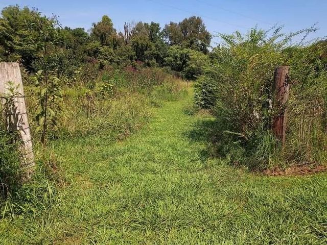 1830 McBride Rd, Lewisburg, TN 37091