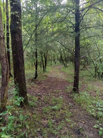 1830 McBride Rd, Lewisburg, TN 37091
