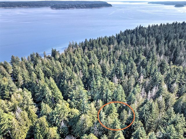 639 E Pitcairn Place, Shelton, WA 98584