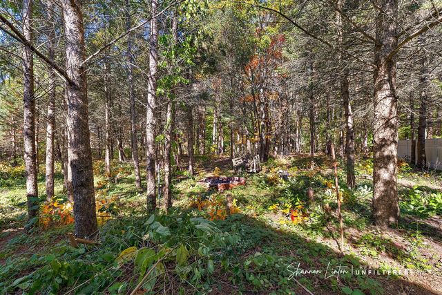 15777 Rannes Street, Spring Lake, MI 49456