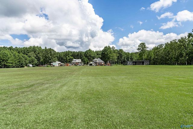 1590 County Road 136, Cedar Bluff, AL 35959
