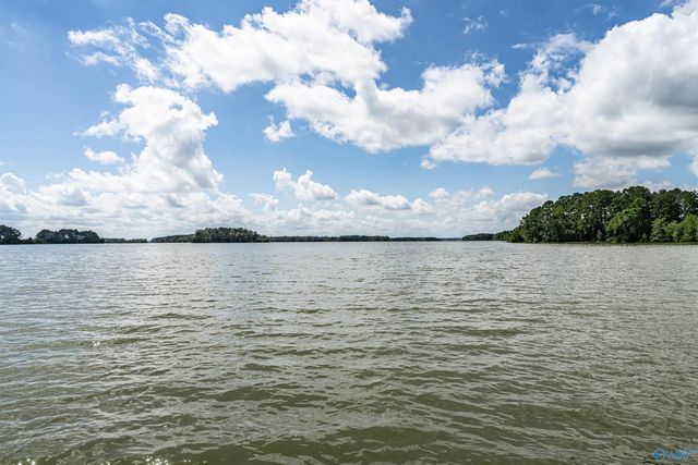 1590 County Road 136, Cedar Bluff, AL 35959