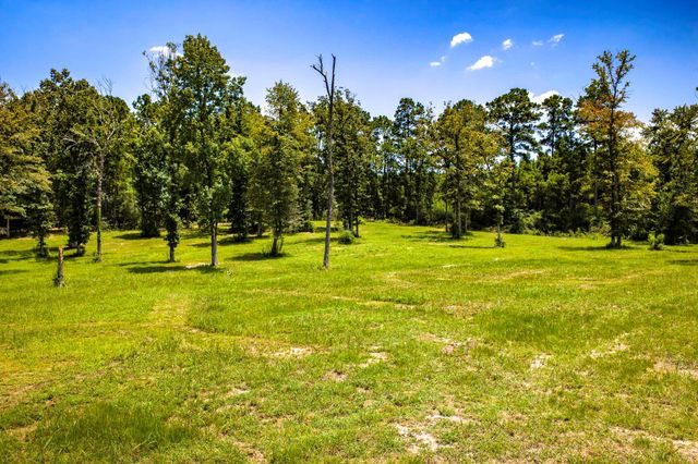 6024 Fm-3152, Livingston, TX 77351